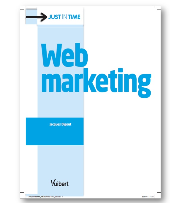 Livre Editions Vuibert = e-Marketing Web-marketing, Marketing Digital